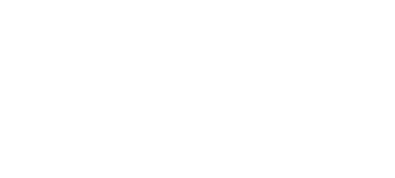 Solo logo